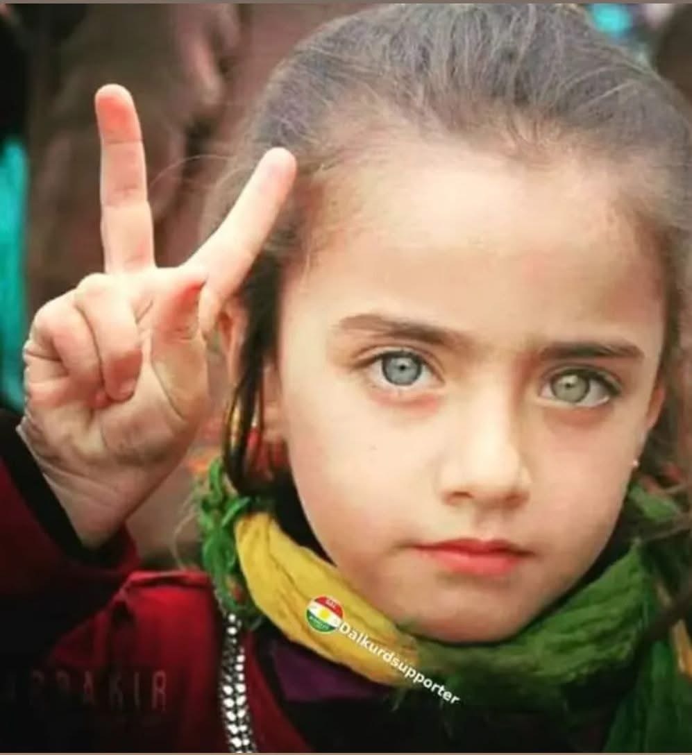 Gitme Zagros Soğuktur Dediler
