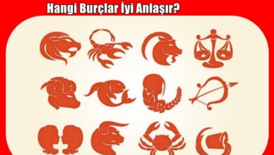 Hangi Burç Hangi Burçla Dosttur? Hangi Burçlar İyi Anlaşır?