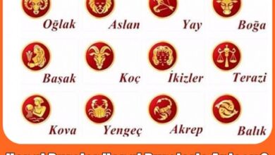 Hangi Burçlar Hangi Burçlarla Anlaşır?