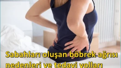 Sabahları oluşan böbrek ağrısı, nedenleri, tedavi yolları