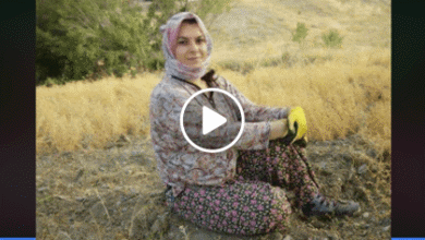 Sildim gönül defterinden yemin olsun yazmam gayri - Mehmet Turna