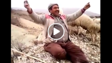 Koyun güderken türkü söyleyen komik çoban amca