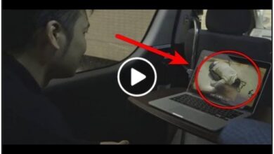 Eşinden Şüphelendi Eve Gizli Kamera Yerleştirdi! Gördükleri Karşısında Ağlamaya Başladı.