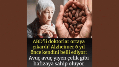 Alzhemier Ve Unutkanlığa Bu Karışımla Son