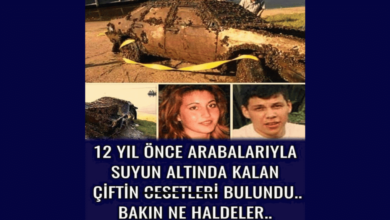12 sene yıl önce denize düşen araç ve içindekiler!
