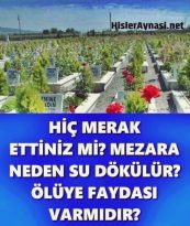 Hiç merak ettiniz mi