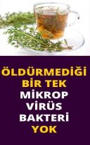 Şifalı Bitkinin Faydalarına ŞOK olacaksınızz,,