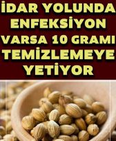 İdrar Yolu Enfeksiyonuna