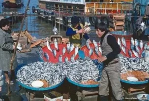 Okuduğunuza değecek bir duygu dolu bir hikaye