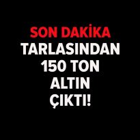 Bir çiftçinin arazisinde 150 tondan fazla altın tespit edildi
