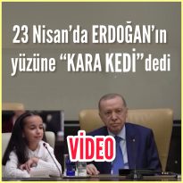 Kara Kedi