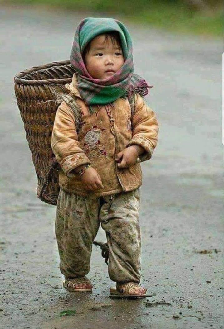 Ne hayatlar var