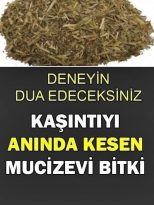 Mucizevi Bitki