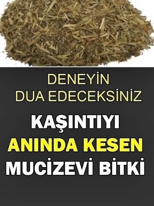 Mucizevi Bitki