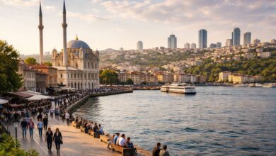 İstanbul Beşiktaş sahilinde Ortaköy Camii ve Boğaz manzarası, doğal gün ışığında geniş açı görünüm