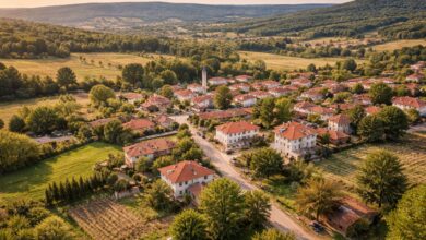 İstanbul Çatalca kırsal yerleşim alanı, müstakil evler ve ormanlık tepelerin drone görünümü