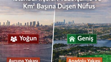 İstanbul ilçeleri yüzölçümü ve km² başına düşen nüfus karşılaştırması, Avrupa ve Anadolu Yakası yoğunluk analizi görseli