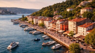İstanbul Sarıyer sahilinde Boğaz kıyısı, tekneler ve yalıların havadan görünümü