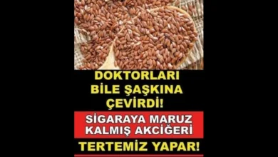 Akciğerleri tertemiz yapıyor.. Mutlaka okuyun!