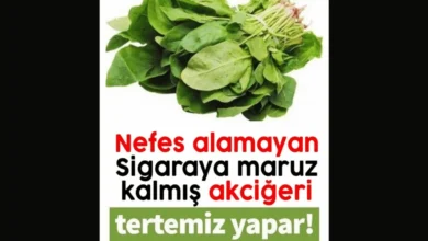 Akciğerleri tertemiz yapıyor.. Mutlaka okuyun!