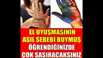 El Uyuşmasının Asıl Sebebi Bakın Neymiş?