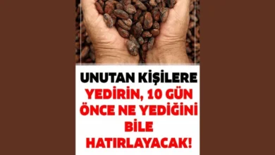 Hafızayı Güçlendirir Hatırlamayı Kolaylaştırır