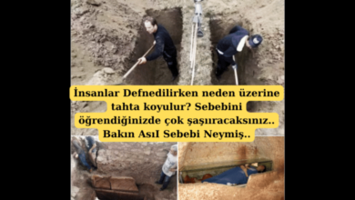 İnsanlar Defnedilirken Neden Üzerine Tahta Koyulur?