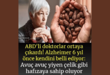 Unutkanlığı Azaltır Hafızayı Güçlendirir