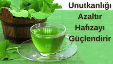 Unutkanlığı Azaltır Hafızayı Güçlendirirr..