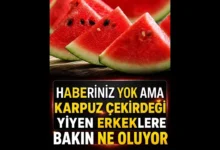 Karpuz Çekirdeğinin İnsan Sağlığına Etkileri Nelerdir?