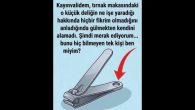 Tırnak makasının arkasındaki deliğin asıl amacı bakın neymiş?