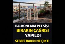 Balkona Pet Şişe Bırakmanın Faydaları