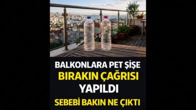 Balkona Pet Şişe Bırakmanın Faydaları