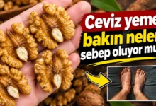 Ceviz Tüketmenin İnsan Sağlığına Etkileri