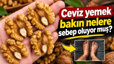 Ceviz Tüketmenin İnsan Sağlığına Etkileri